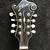 J Bovier custom mandolin 5 thumbnail