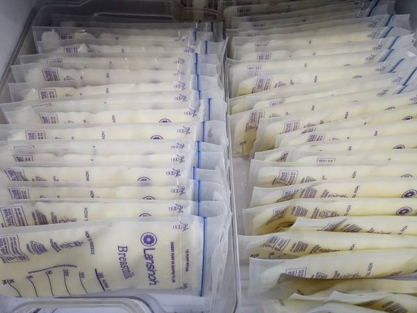 Breast Milk / Breastmilk 1