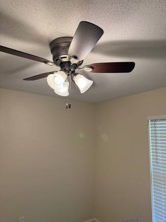 $1 / 3br - 1700ft2 - I have a private bedroom and bathroom for the right female home share (Cape Girardeau)63654671851779123