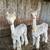Gentle Mini Alpacas 1 thumbnail