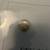 Coins 4 thumbnail