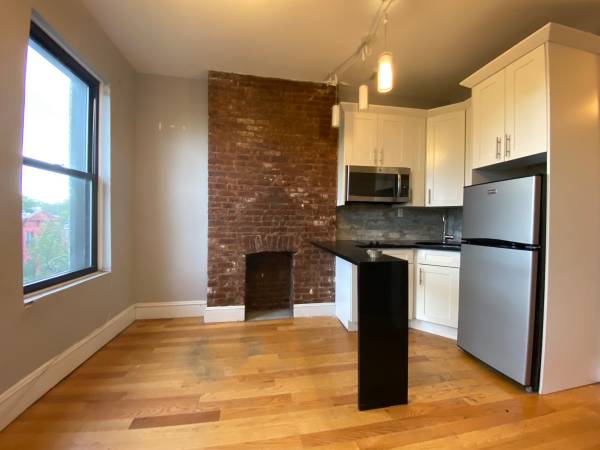 $2,550 / 1br - Prospect Heights /Crown heights - Hermoso apartamento de 1 dormitorio - Lavandería (Prospect heights / Crown heights)63854194087555120