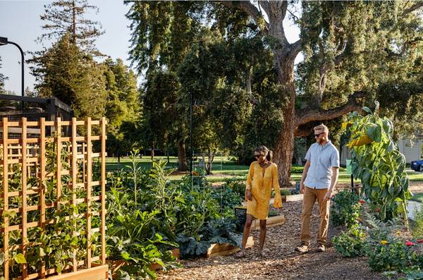 1-WEEK FREE! 3Bed 2Bath in Walking Distance to Rivermark Plaza! 1