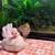 Kikiriki chickens micro minis (RARE) 6 thumbnail