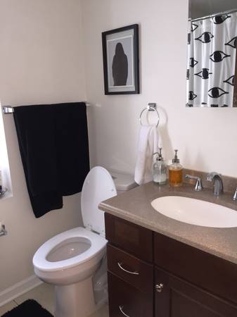 $1,400 / 2br - 800ft2 - 2BR FURNISHED - $1400 (Downtown)64013370658049121