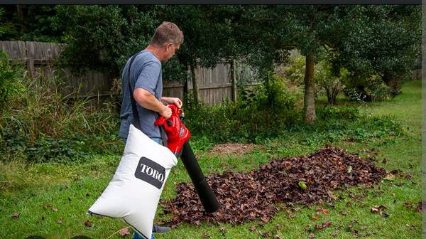 Leaf blower 1