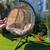 Swinging Outdoor Patio Lounge Chair 3 thumbnail