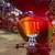 2009 Yamaha FZ6R 9 thumbnail