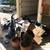 Handyman/Junk Hauling 15 thumbnail