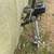 British Seagull outboard motor 4 thumbnail
