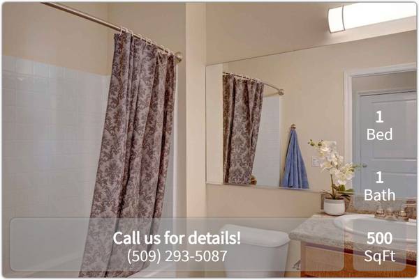 $1,630 / 1br - 500ft2 - Beautiful 1BE 1BA with water views. Available 10/29/25 PRE-LEASE NOW!! (Wenatchee)63845970934275121