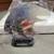 Eagle Head Figure, God Bless America, 2001 Bradford Exchange w/COA 3 thumbnail