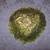 Vintage Indiana and Depression Glass Pieces 4 thumbnail