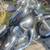2005 honda shadow 3 thumbnail