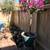 patio group , 9 piece lounger, chairs and table 2 thumbnail