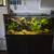 Aqurium 1 thumbnail