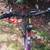 Northern Ridge Dynacraft 24" Mountain Bike 5 thumbnail