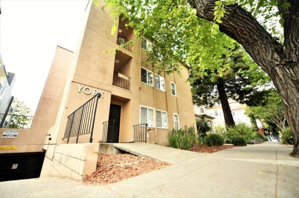 Just a Short Distance from UC Berkeley on Beautiful College Ave 1