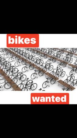 Bikes Wanted Large quantity Adult Vintage or modern 1