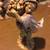 NATIVITY FIGURINES BY FONTANINI FROM ITALY SELL SEPARATED OR TOGETHER DIFFERENT 3 thumbnail