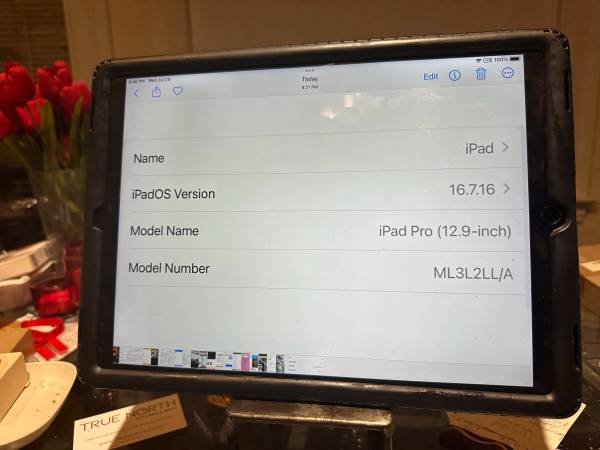 Ipad Pro (13.9 inch screen) 1