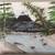 Landscape Paintings 3 thumbnail