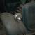 1935 Ford Pickup 17 thumbnail