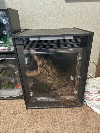 Gecko enclosure (Killeen)63839343831297121