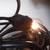 Feit Electric 48ft / 24 Light Sockets Outdoor String Lights 3 thumbnail
