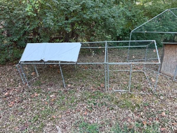 9ft Chicken Run 1