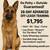 🐶 Guaranteed Potty & Obedience Training – Scranton / Wilkes-Barre 🐕 1 thumbnail