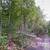 14.96 acre lot on Reconstruction Road 2 thumbnail