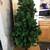 5 foot tall green artificial christmas tree 1 thumbnail