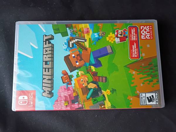Minecraft (switch) 1