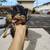 Yorkie 1 thumbnail