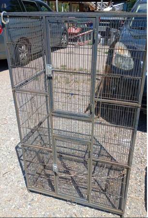 Large bird Cage 1
