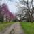 Secluded 3-Bed Home on 4.75 Acres: Greenhouse, Barn, Income Potential! 3 thumbnail