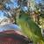 Amazon Parrot 3 thumbnail