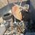 Coachella valley Neighborhood junk removal and demo contact 442-290-9187 17 thumbnail