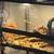uromastyx lizard 3 thumbnail