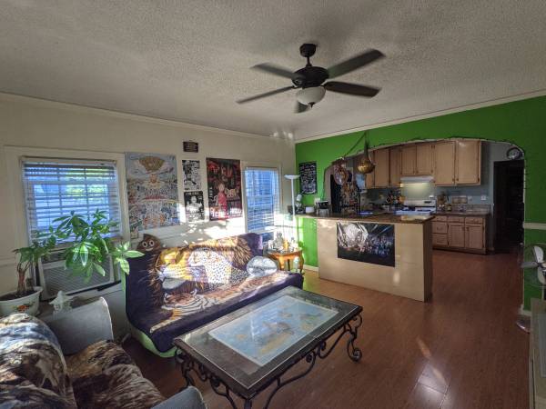 Living room convertet into bedroom. 1