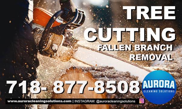 TREE PRUNING & FALLEN BRANCH CUTTING 1