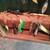 16 musky baits + boat===MAN CAVE SPECIAL ==$175.00== 3 thumbnail