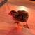 Coturnix Quail 1 thumbnail