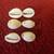 Costume Jewelry Shells 2 thumbnail