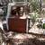 1957 Ford f100 shortbed custom cab pickup original patina 11 thumbnail