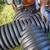 French Drain Installer/Laborer 3-5 days week 1 thumbnail