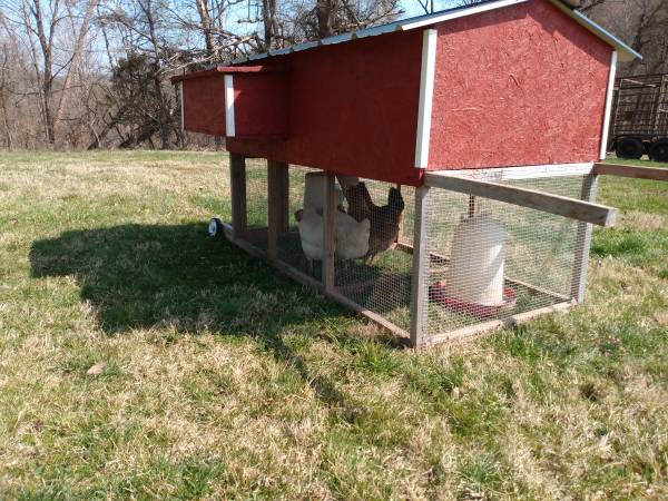 Chicken tractor/coop/house 1