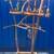 Macaw parrot perch - custom made ! A great socializer for mr Birdee !! 9 thumbnail