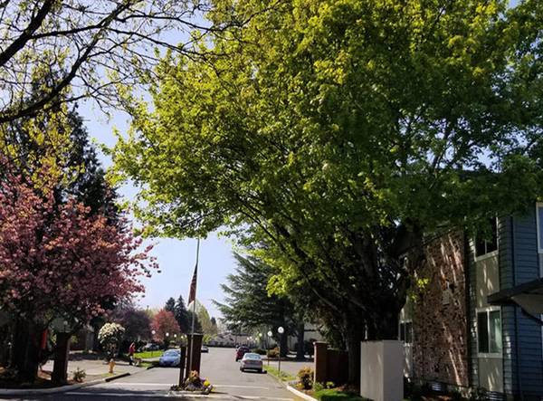 $1,650 / 2br - NOW AVAILABLE! CALL TODAY + Walkthrough Kitchens, Dog Walking Area (Gresham)63867270522243121